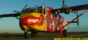 OE-FDE The PINK Skyvan rests after a day at work. Photo by www.pinkskyvan.com